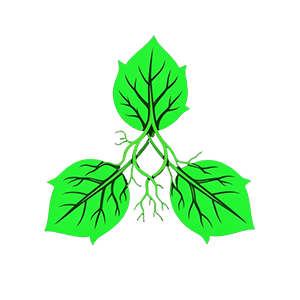 Verdant Dawn glyph